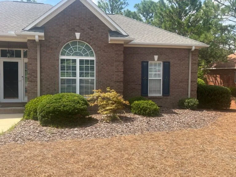 Commercial mulch beds with maintained shrubs