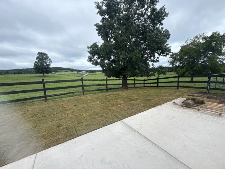 Office building landscaping with clean mulch beds