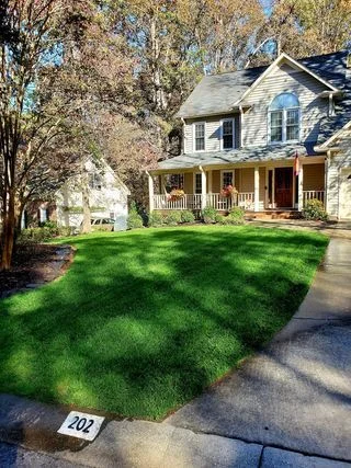 Lush fescue lawn with clean mowing lines