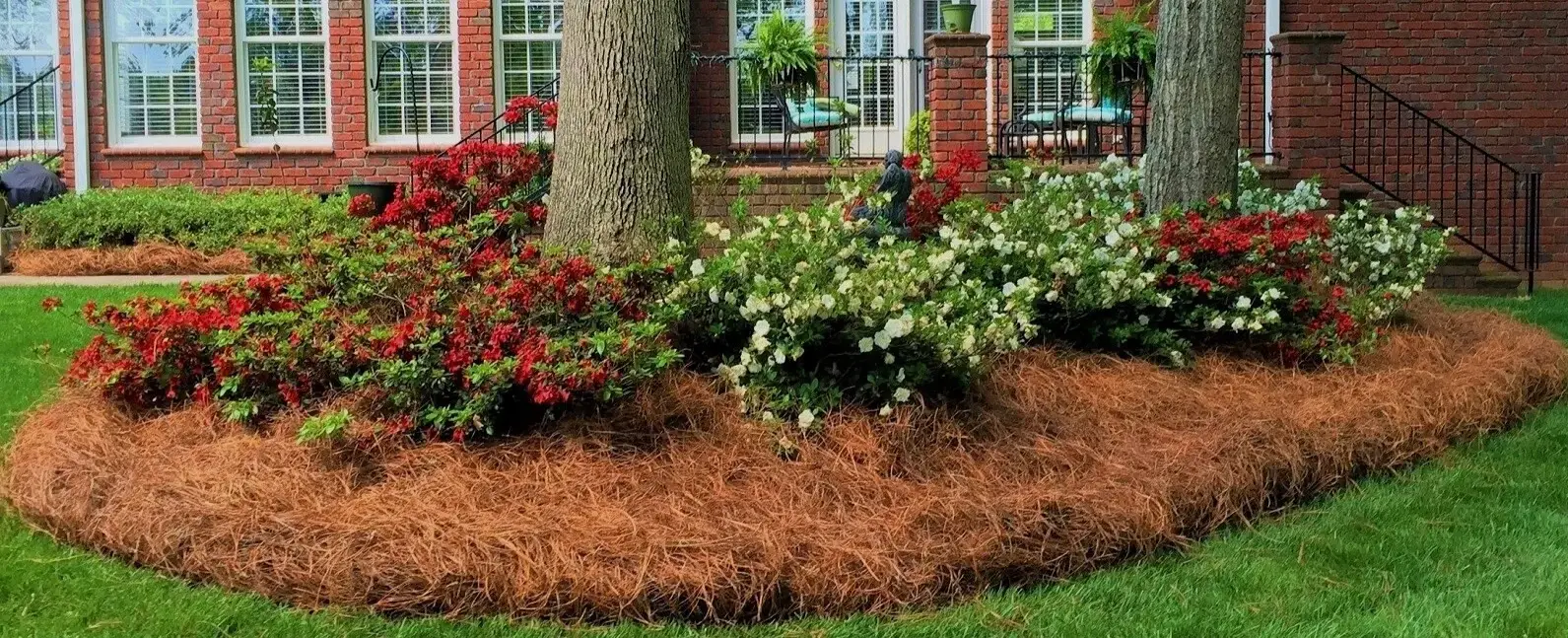 Pine straw installation in landscape beds