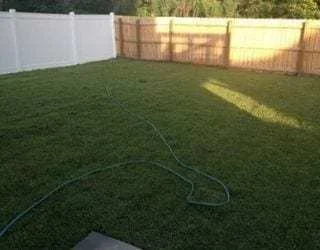 Sod installation project — fresh Bermuda sod laid on residential property