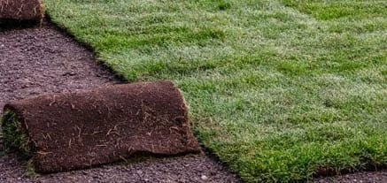 Sod installation in progress with crew on site