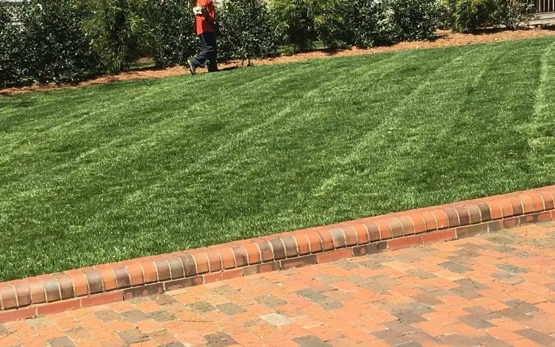 Completed sod installation with clean edges