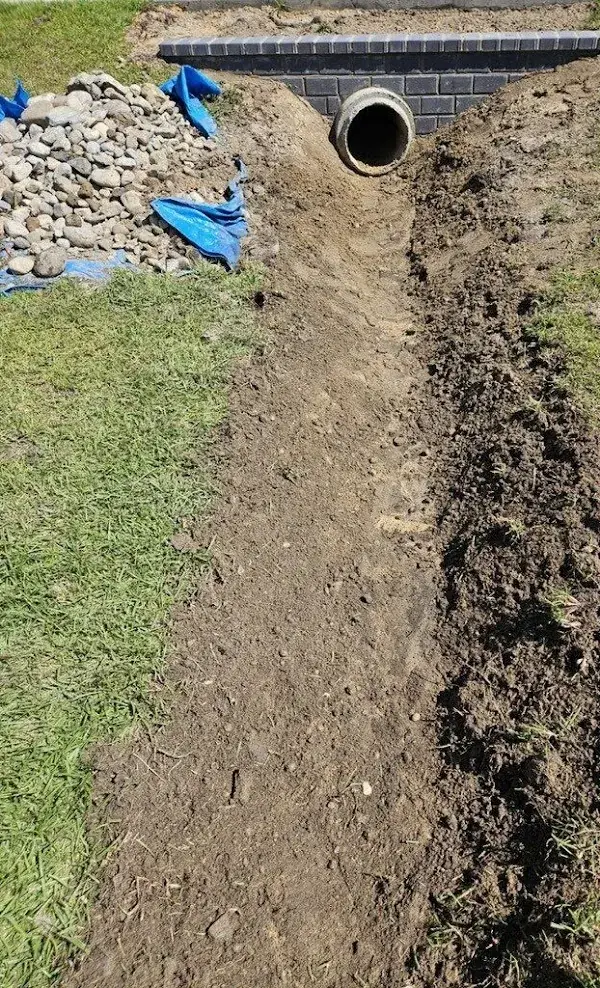 Professional hedge trimming and landscape maintenance