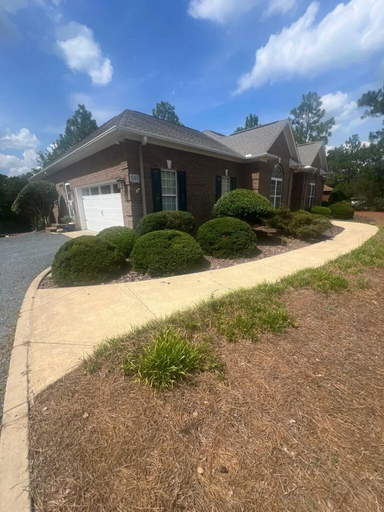 Overgrown side yard with weeds and bare spots before landscape renovation