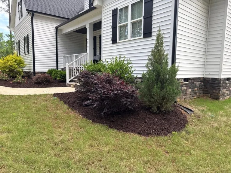 White house with dark mulch beds and ornamental plantings